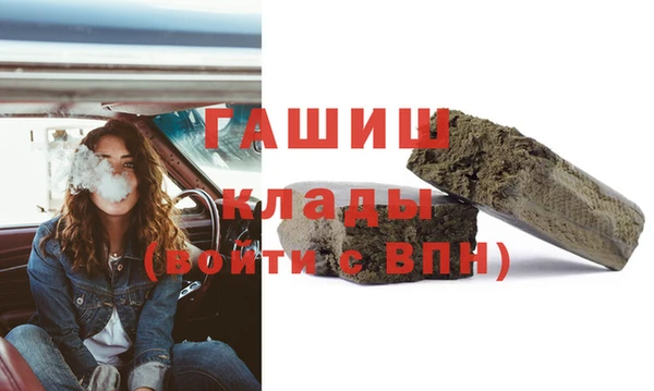 spice Богородицк