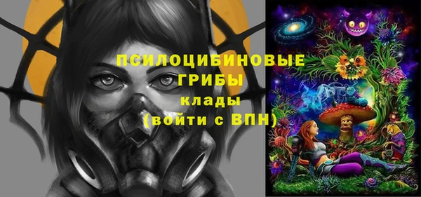 марки nbome Богданович