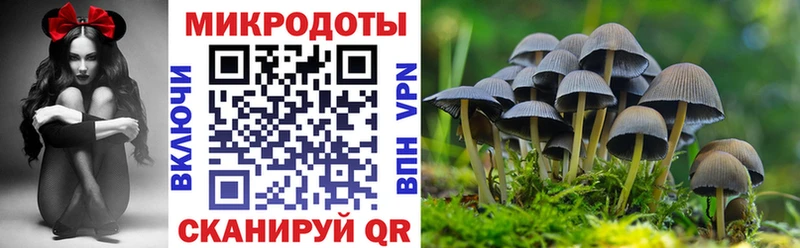 Галлюциногенные грибы GOLDEN TEACHER  OMG ссылки  Сердобск  дарнет шоп 